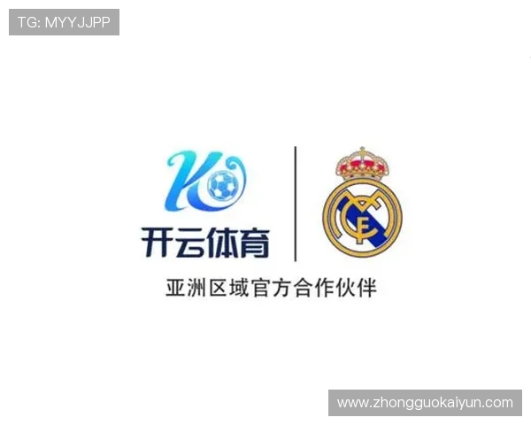 深度解析开云体育网址的用户界面与操作指南